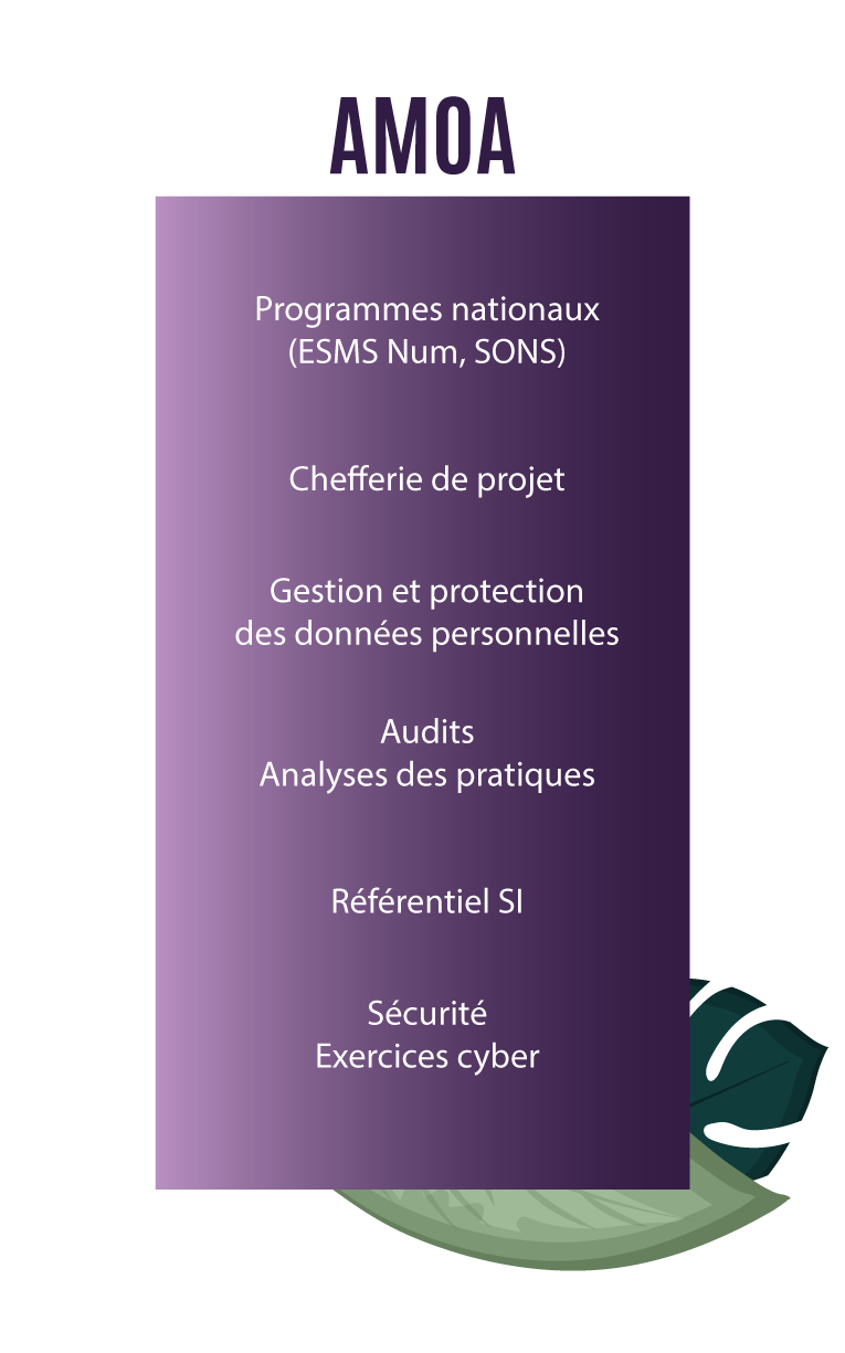 esms numérique amoa