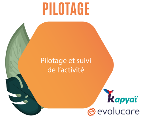 pilotage